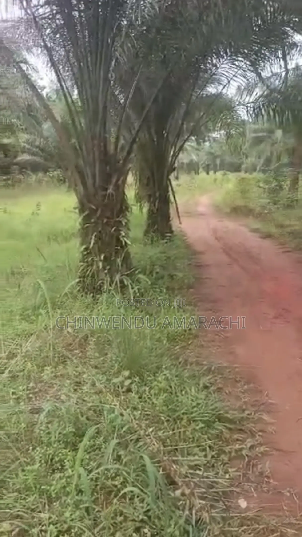 Land for Sale in Nsukka