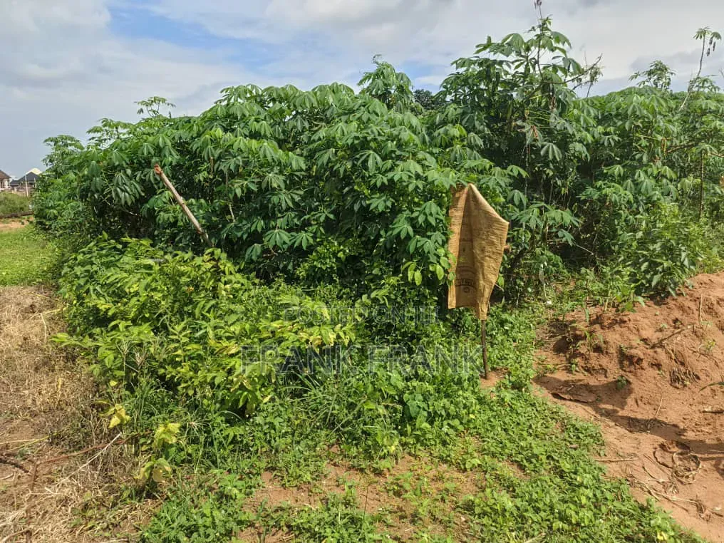 5 Plots of Land at Opposite New Governor's Lodge Awka Anambra State. in Awka