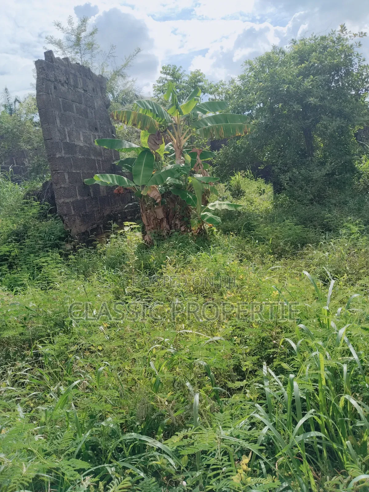 Classic Properties at Commissioner Quarter Awka in Awka