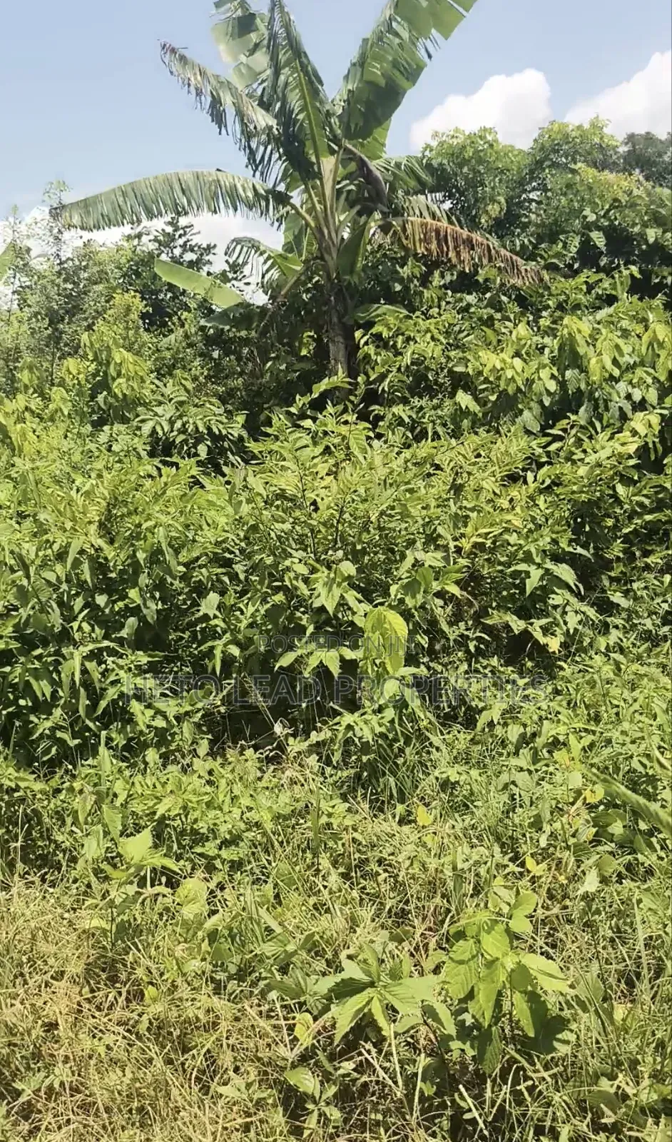 A Plot Half of Land for Sale at Elenu Sonso Ibadan in Ido