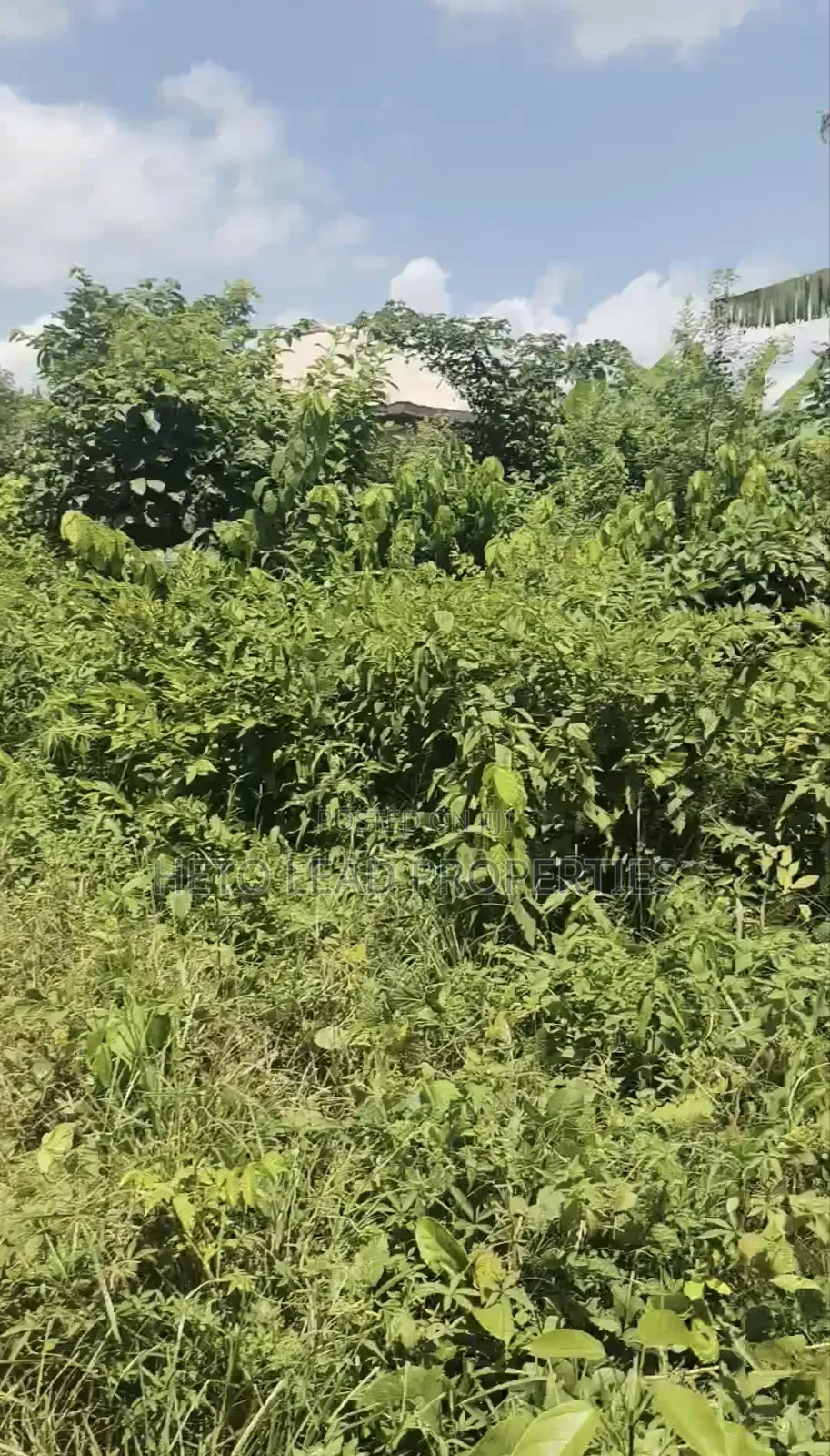 A Plot Half of Land for Sale at Elenu Sonso Ibadan in Ido