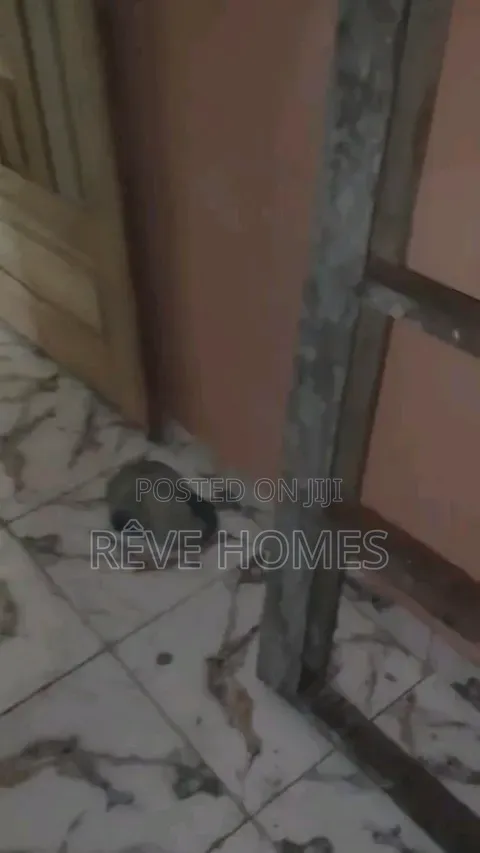 Mini Flat in Adekunle for rent in Adekunle