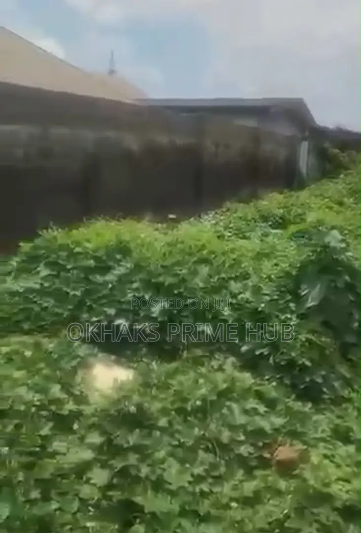 Prime Investment Opportunity Location: Idimu, Egbeda, Lagos in Idimu