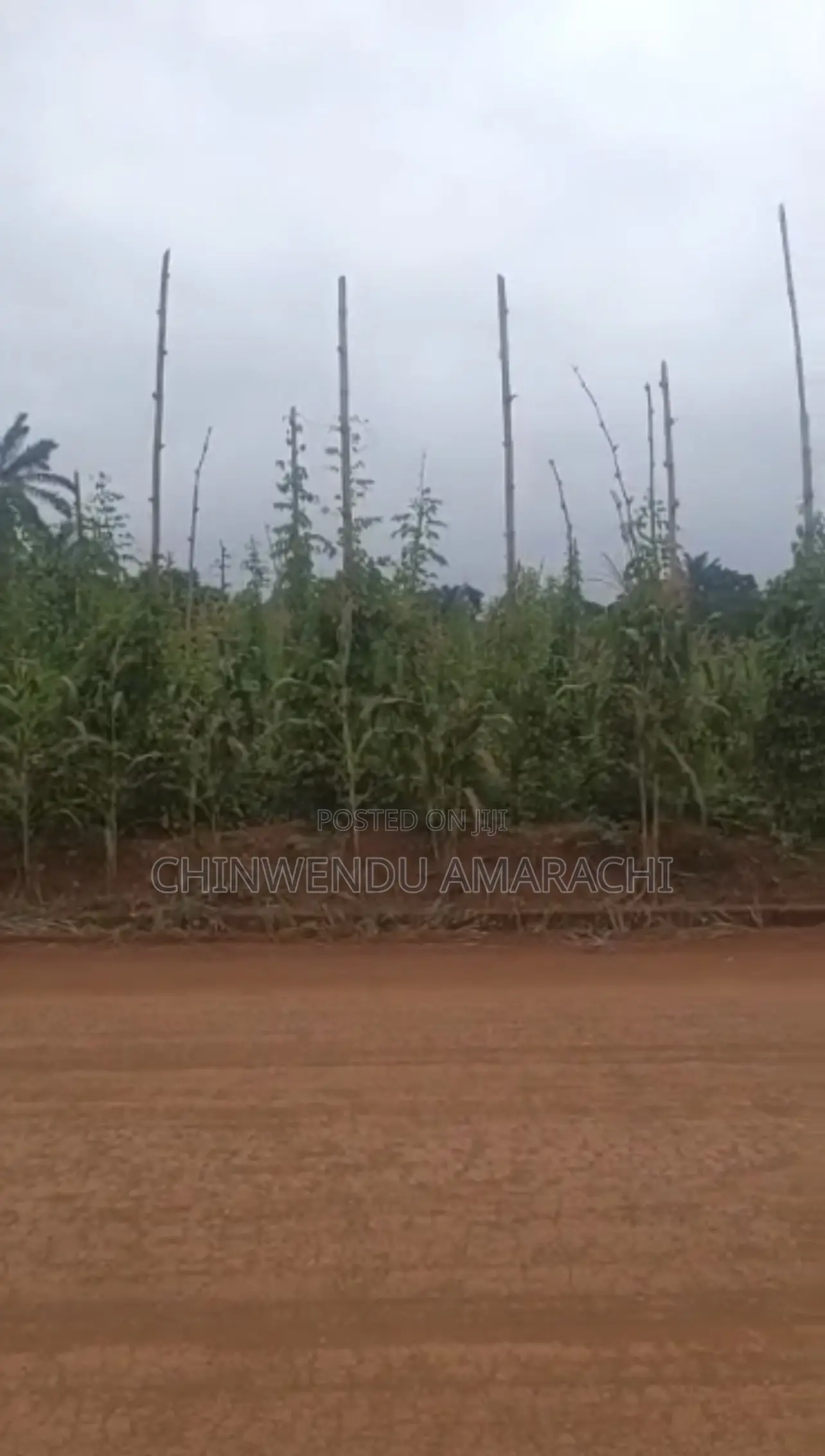 Plots of Land for Sale in Enugu State