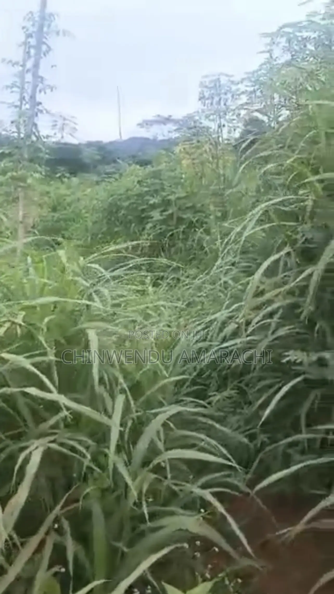 Plots of Land for Sale in Enugu State