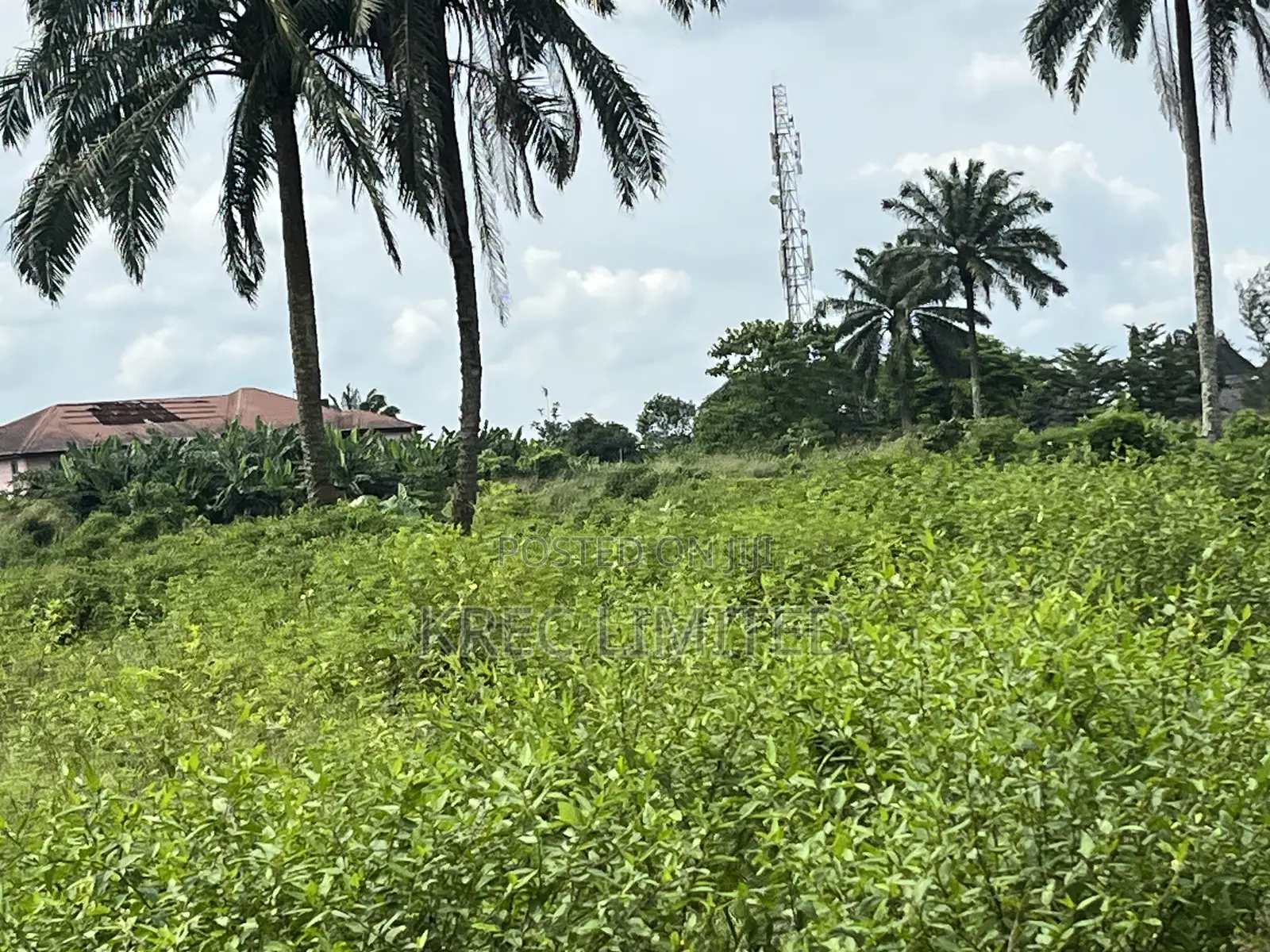 1plot of Land on Eneka Express in Eneka