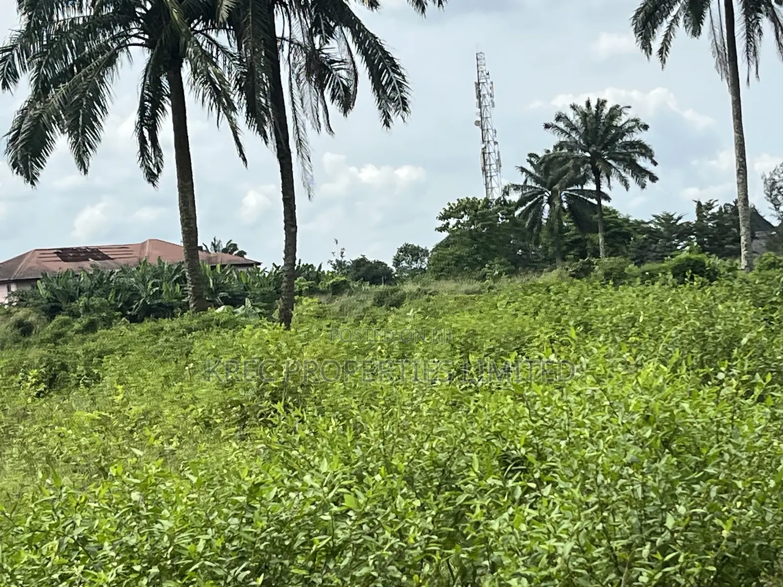 1plot of Land on Eneka Express in Eneka