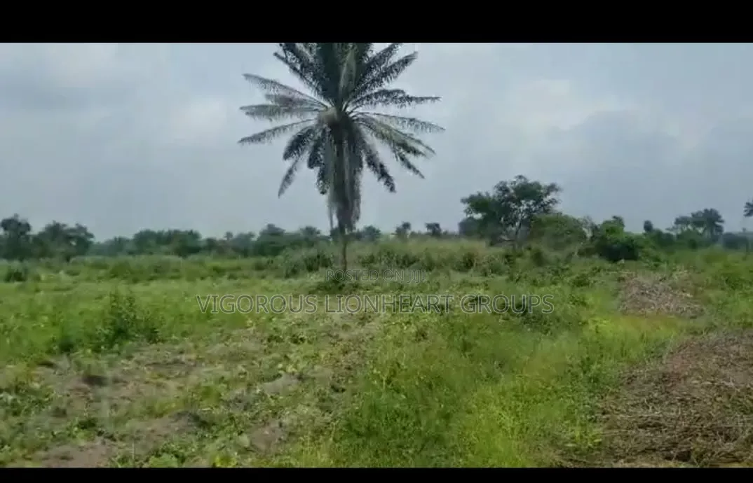 One Acre Of Farmland With Already Planted Cassava. in Sagamu