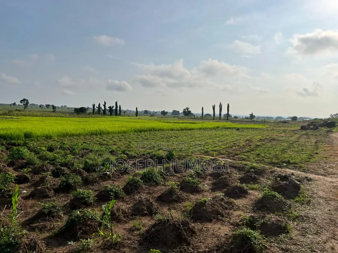 Residential Plot in Karshi