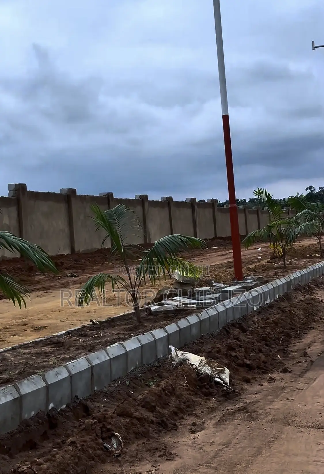 Fcda C of O Plots at Apo, Burum West (9m - 54m) in Zone B