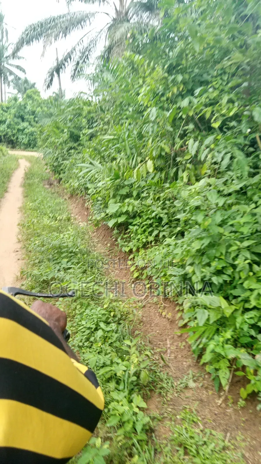 Distress Sale of Land for Sale at Ulakwo Etche in Etche