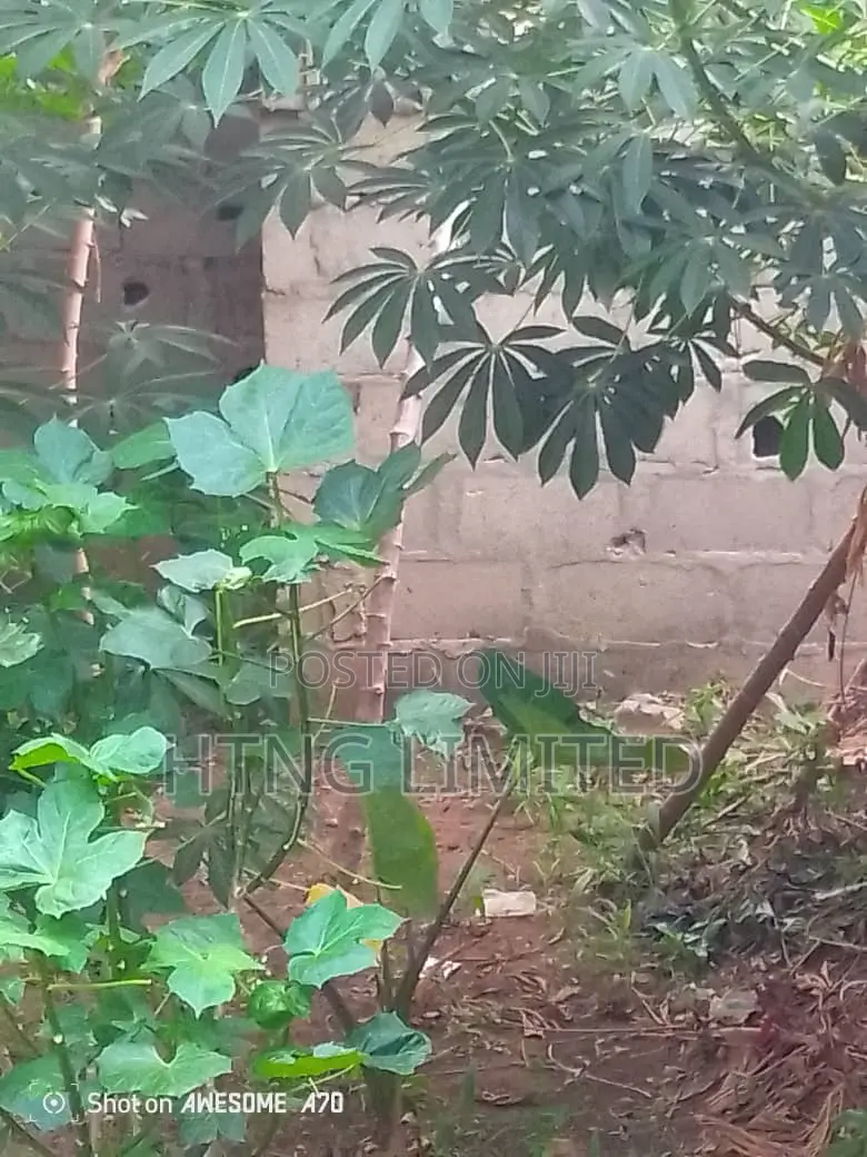 Half Plot of Land at Olumo,Oreyo Ikorodu Lagos in Igbogbo