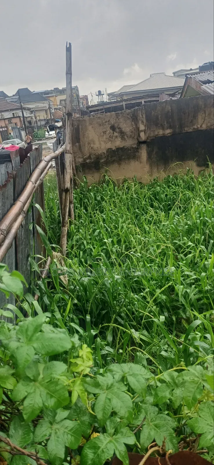 For Sale Half Plot of Land at Ajoke Salako Street Ifako Gbagada Lagos in Ifako-Gbagada