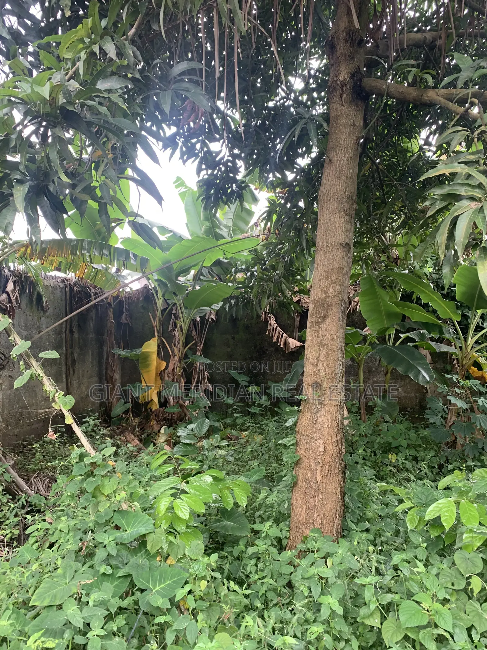 One Plot of Land for Sale – Atali Farm Estate in Obio-Akpor