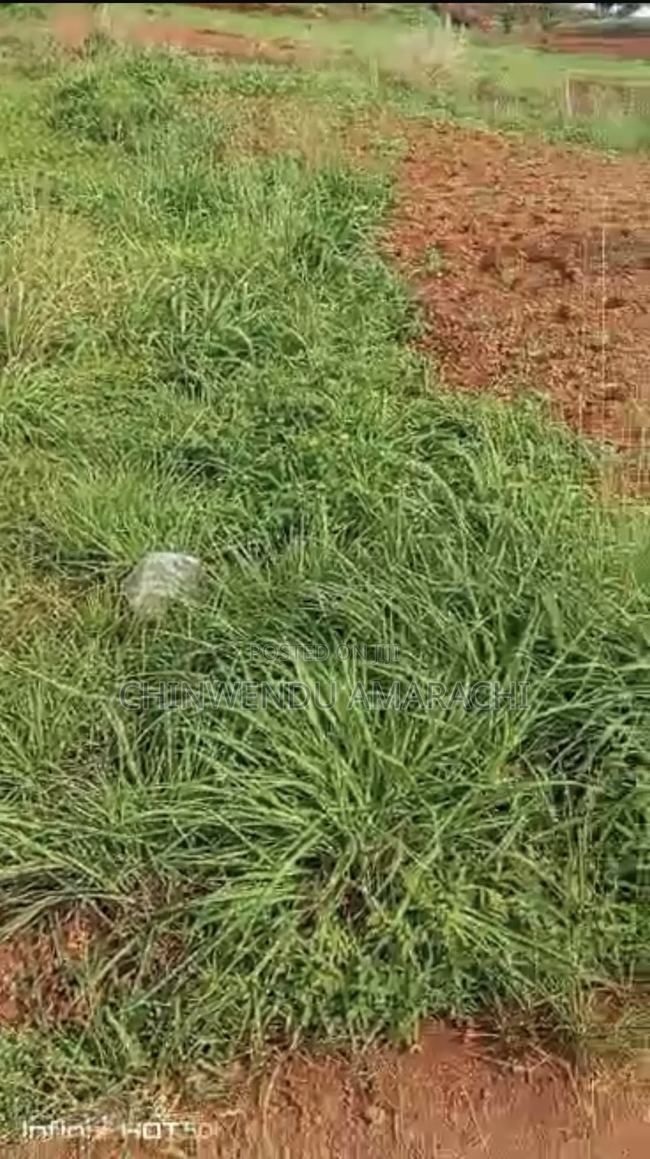 Lands for Sale in Nsukka