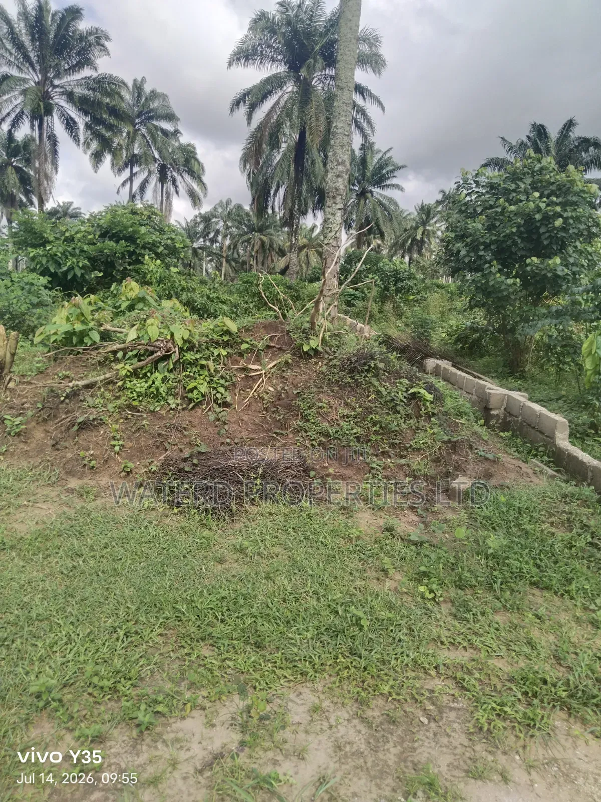 15 Pilots of Land for Sale Off the Ring Road in Obio-Akpor