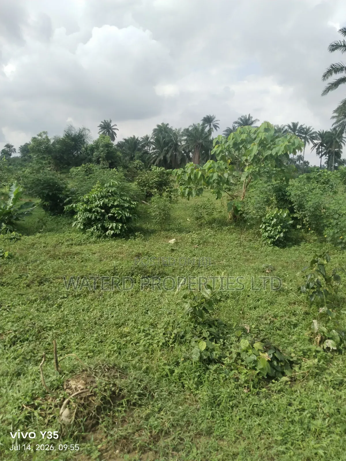 15 Pilots of Land for Sale Off the Ring Road in Obio-Akpor