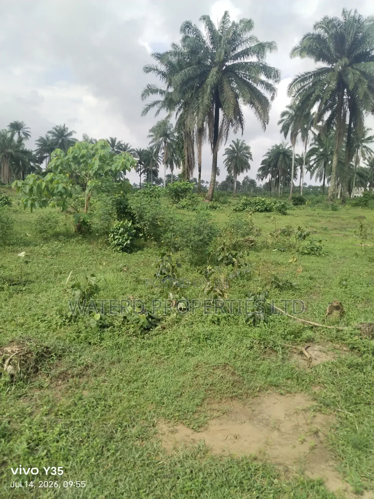 15 Pilots of Land for Sale Off the Ring Road in Obio-Akpor