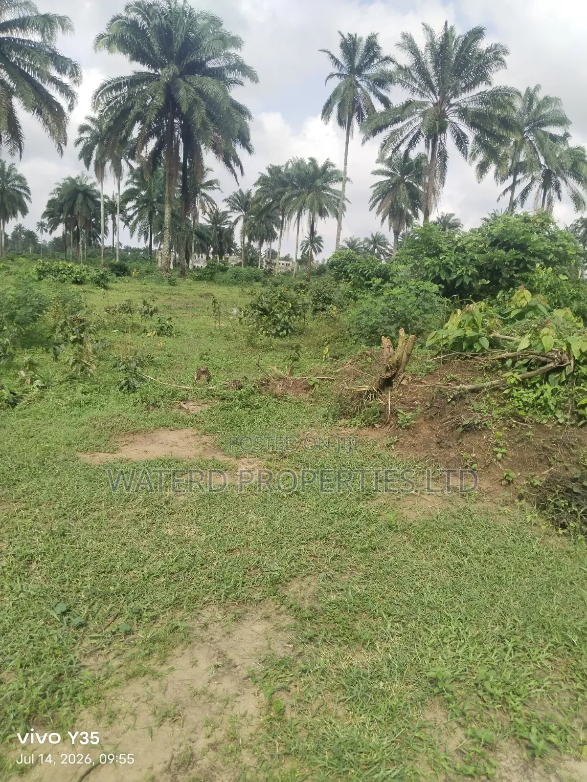 15 Pilots of Land for Sale Off the Ring Road in Obio-Akpor