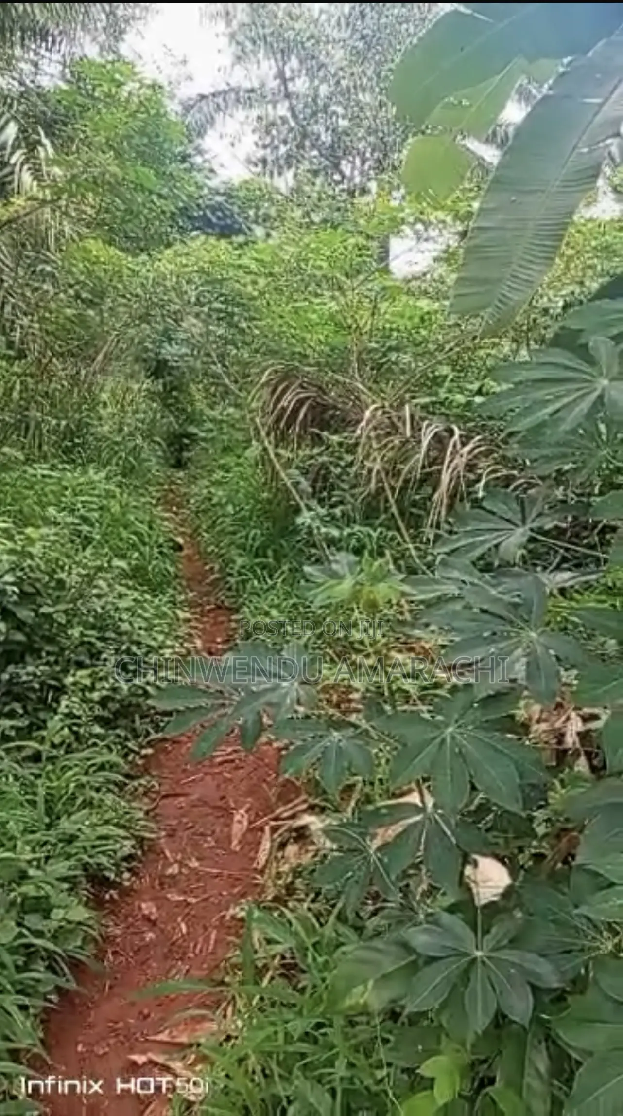 Lands for Sale in Nsukka