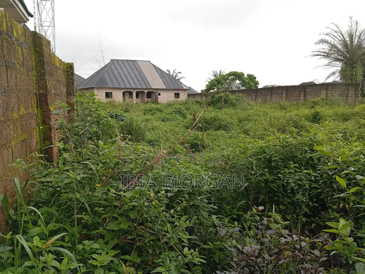 1600sqm Land With 2 Units of 2BR Bungalow, Idoro Road, Uyo, Akwa Ibom in Uyo