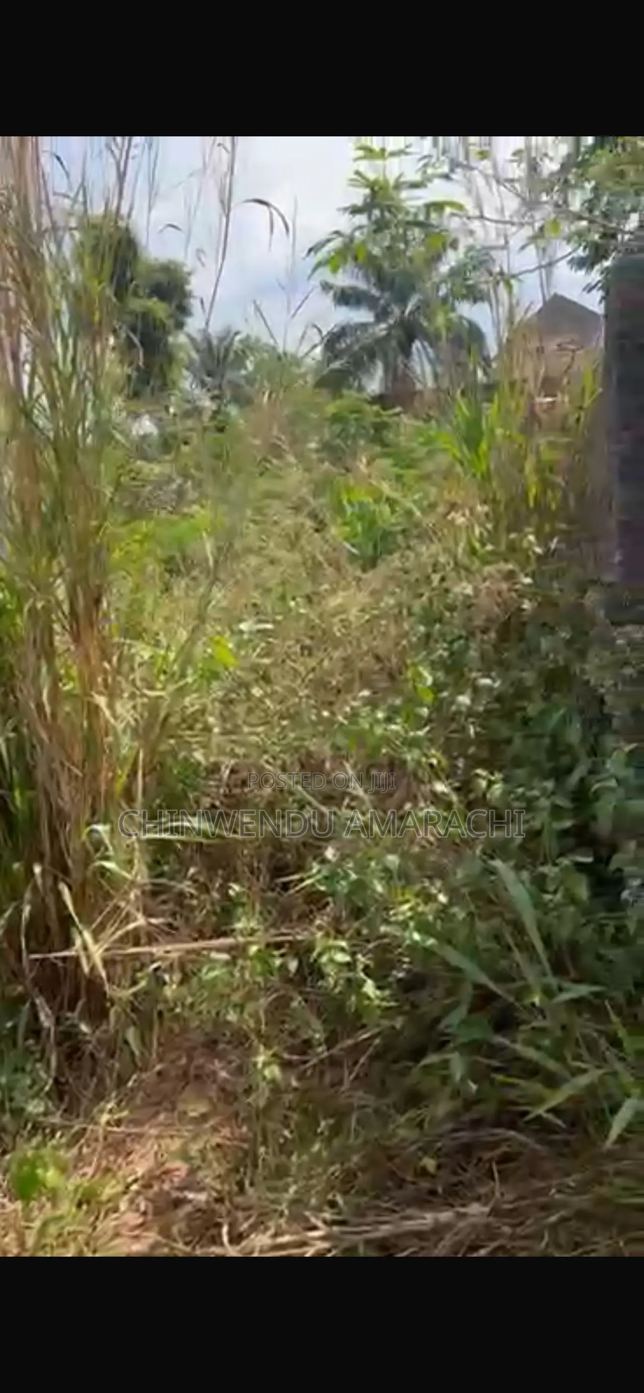 Land for Sale in Enugu State