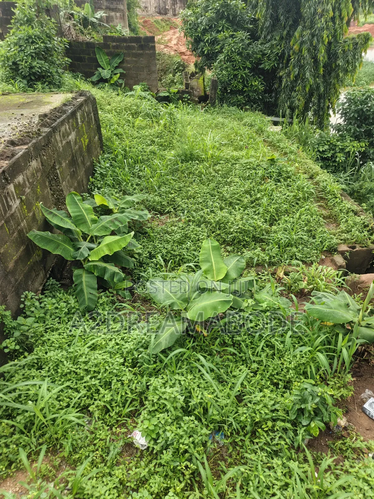 Superbly Placed Plot in Berger