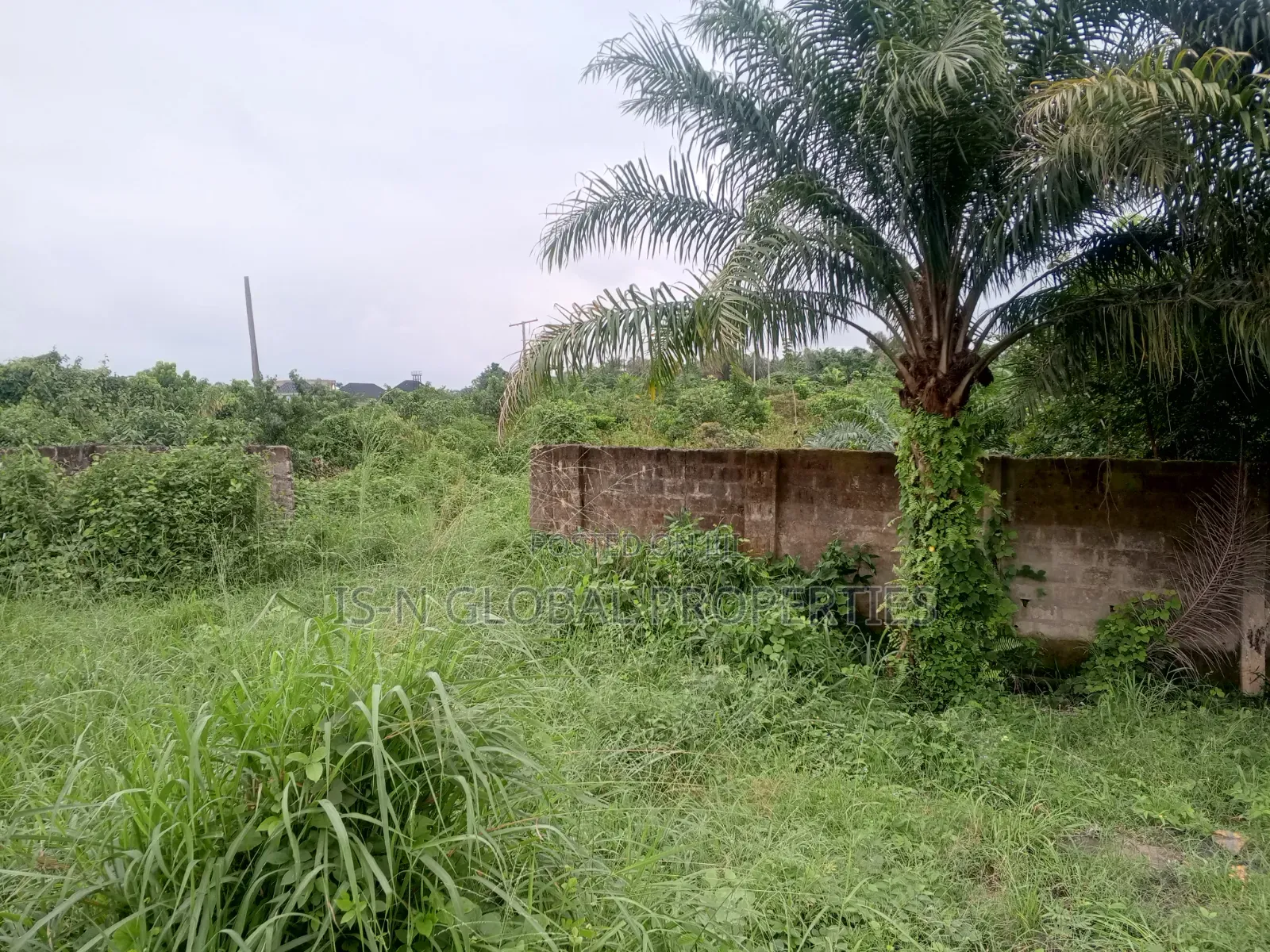 Land for Sale in Warri