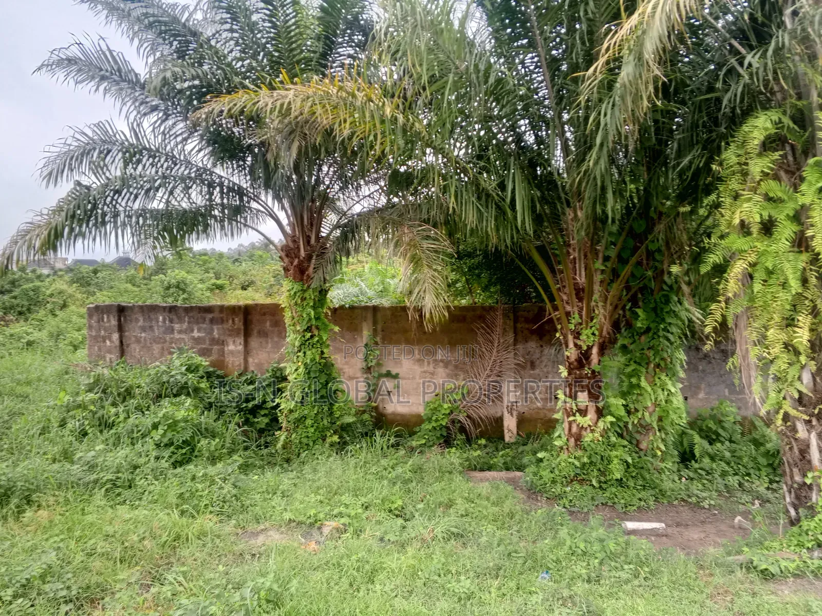 Land for Sale in Warri