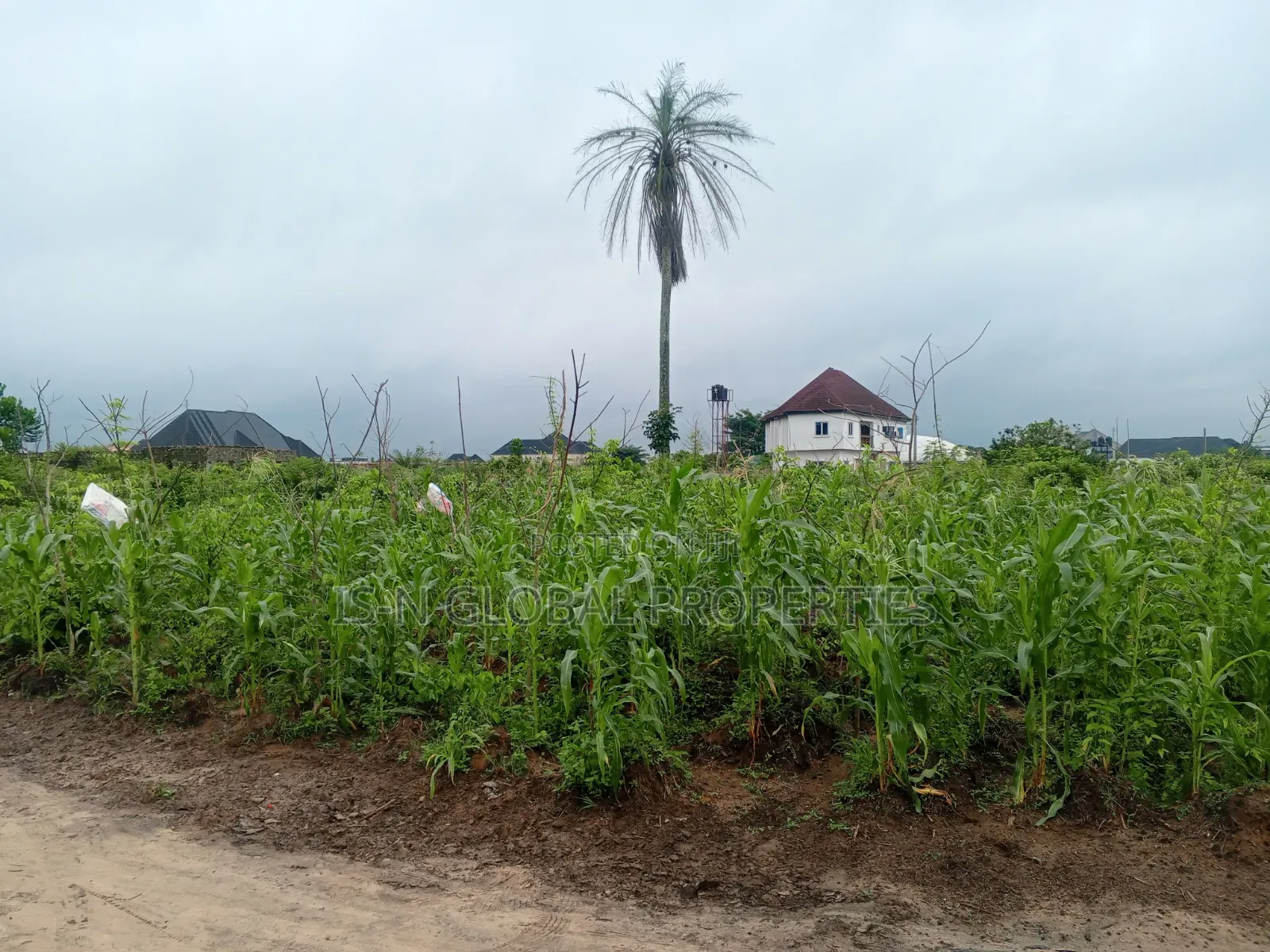Land for Sale in Warri
