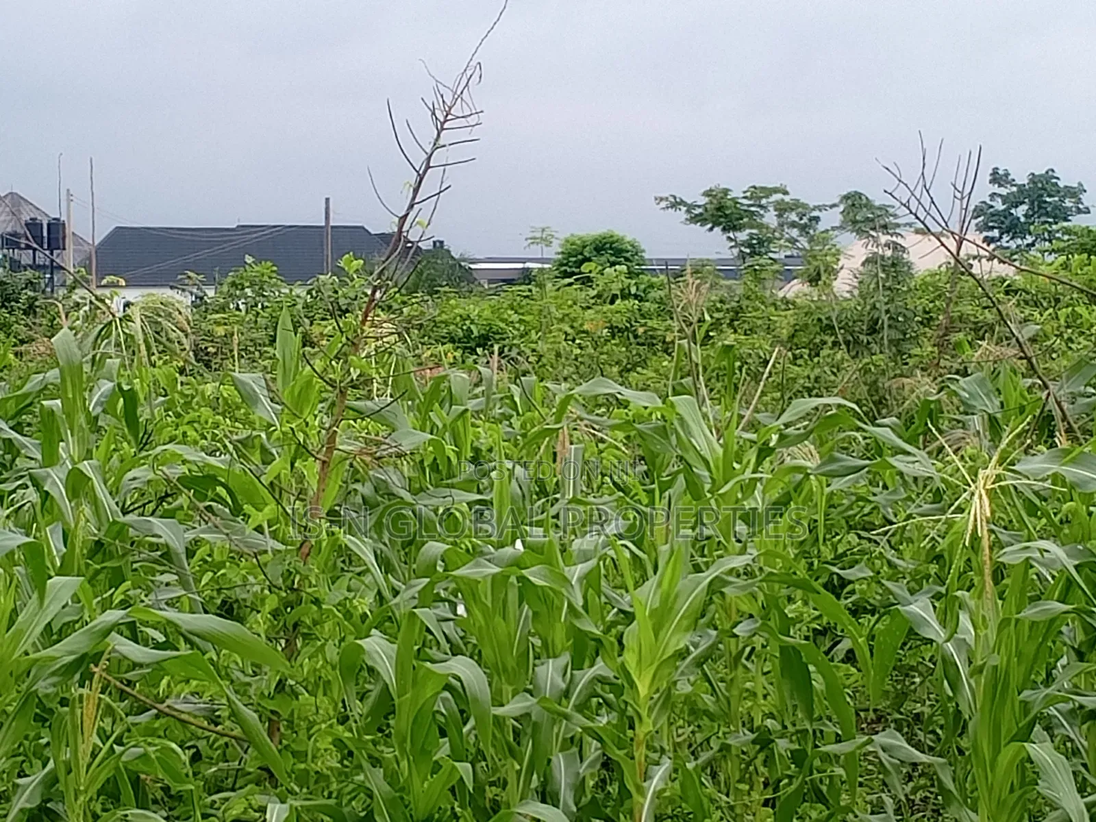 Land for Sale in Warri