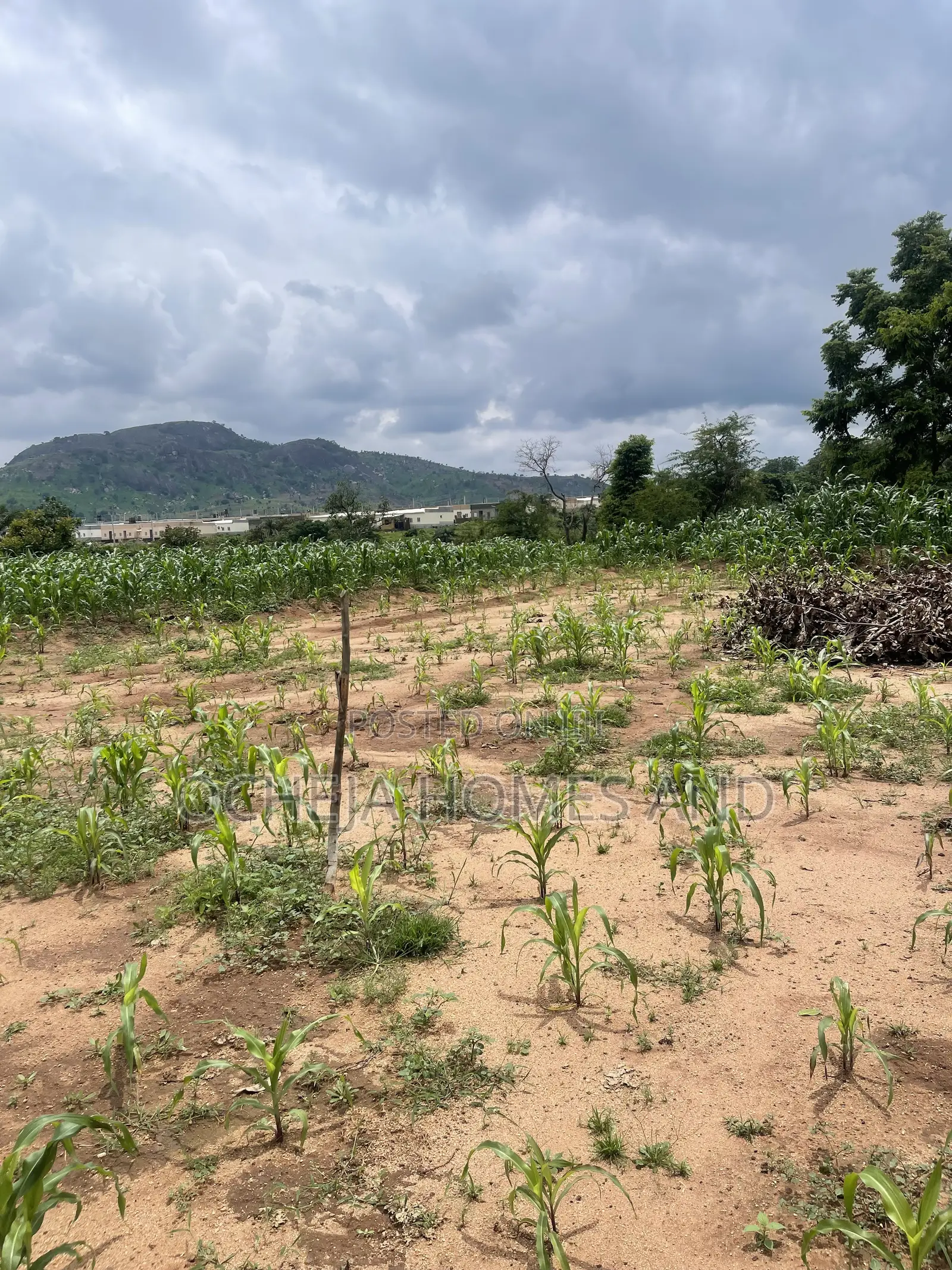 Kubwa Land - (Behind Brian’s and Hammers Bungalow Estate ) in Kubwa