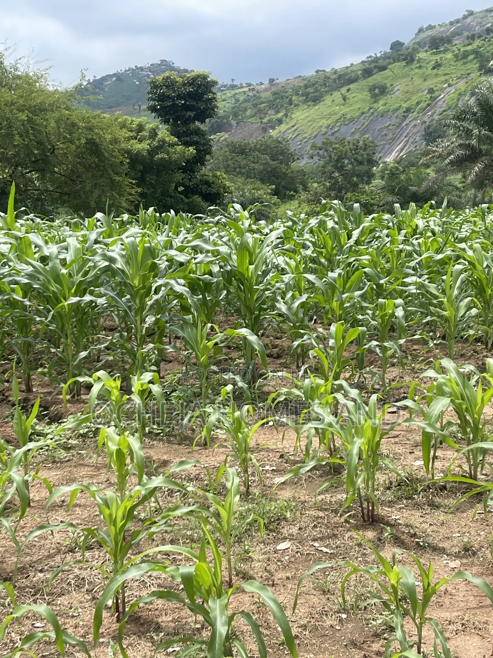 Kubwa Land - (Behind Brian’s and Hammers Bungalow Estate ) in Kubwa