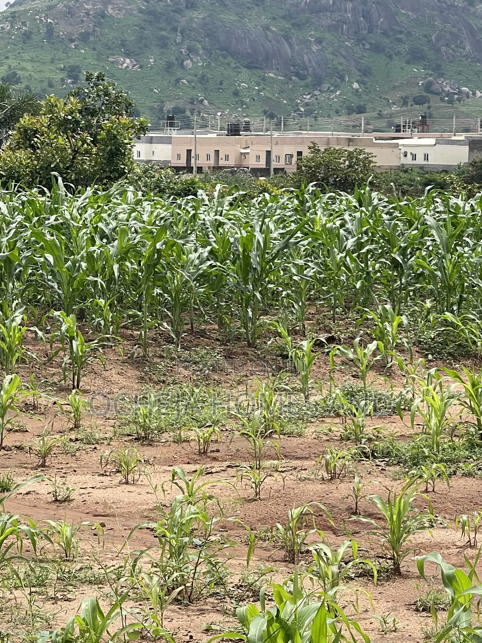 Kubwa Land - (Behind Brian’s and Hammers Bungalow Estate ) in Kubwa