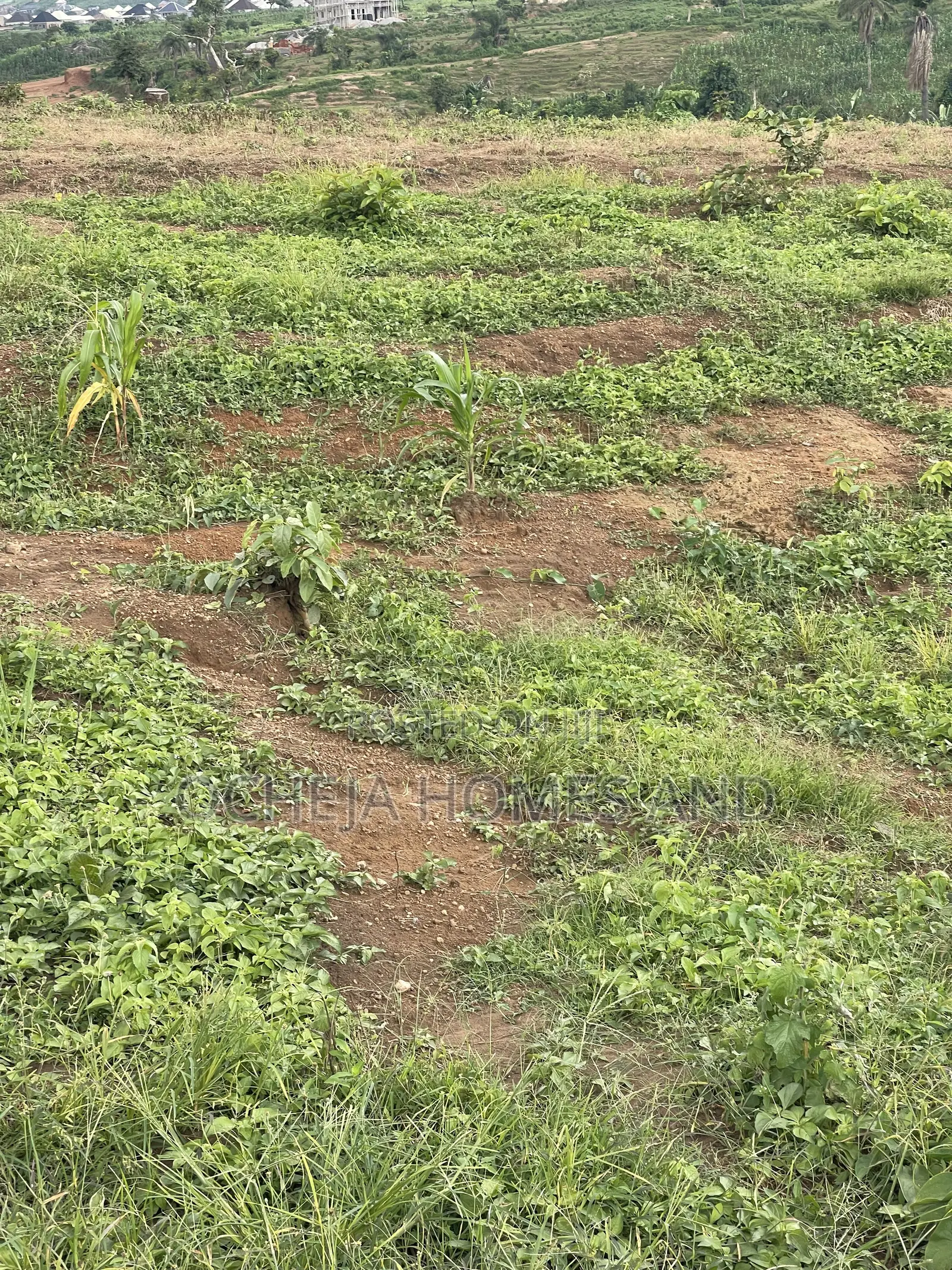 Chikakore Land for Sale in Kubwa