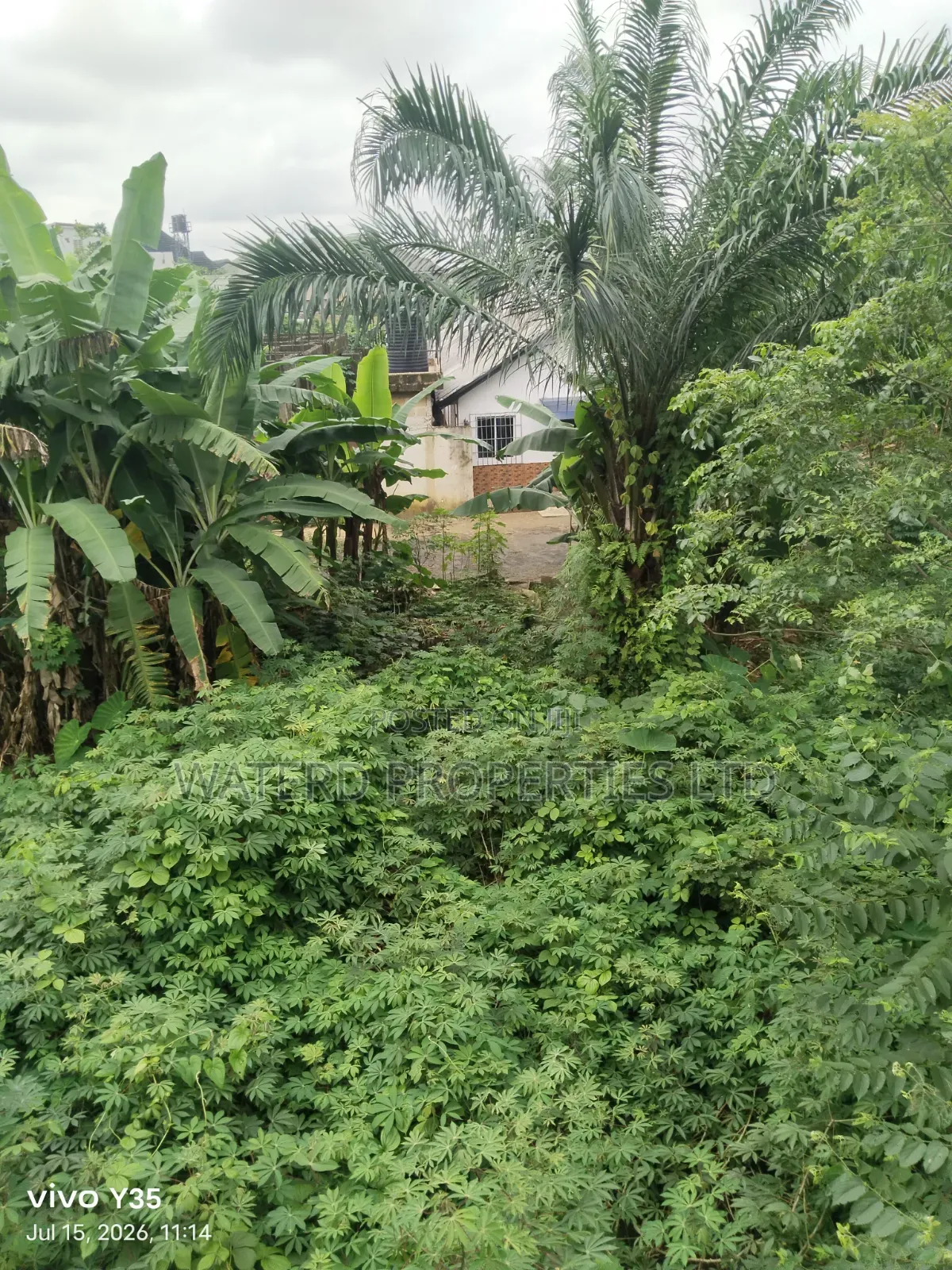 Buy and Build One Plot of Land in Obio-Akpor