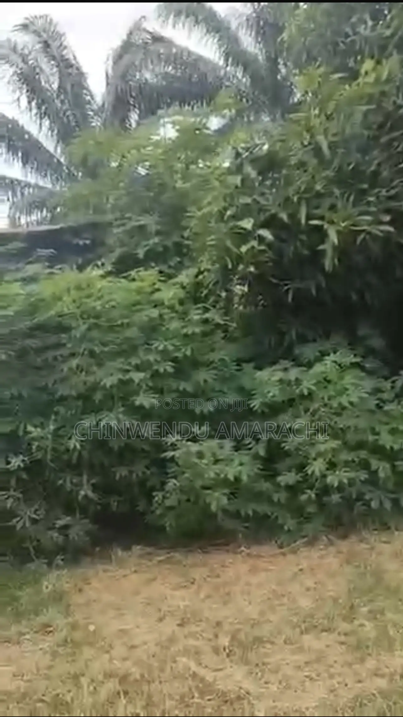 3bdrm Bungalow in Tonifrank Cornrows for sale in Enugu State