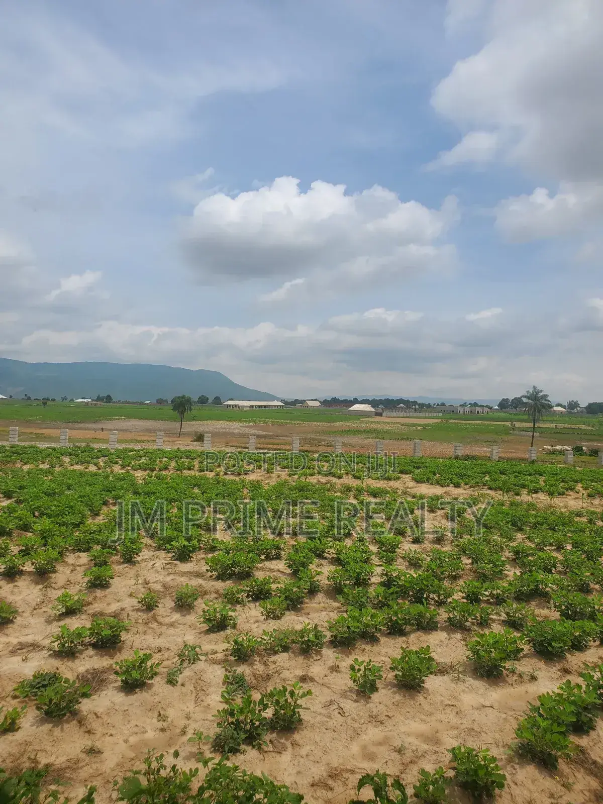 Verified Estate Land With C of O Process – Installment Available in Karshi