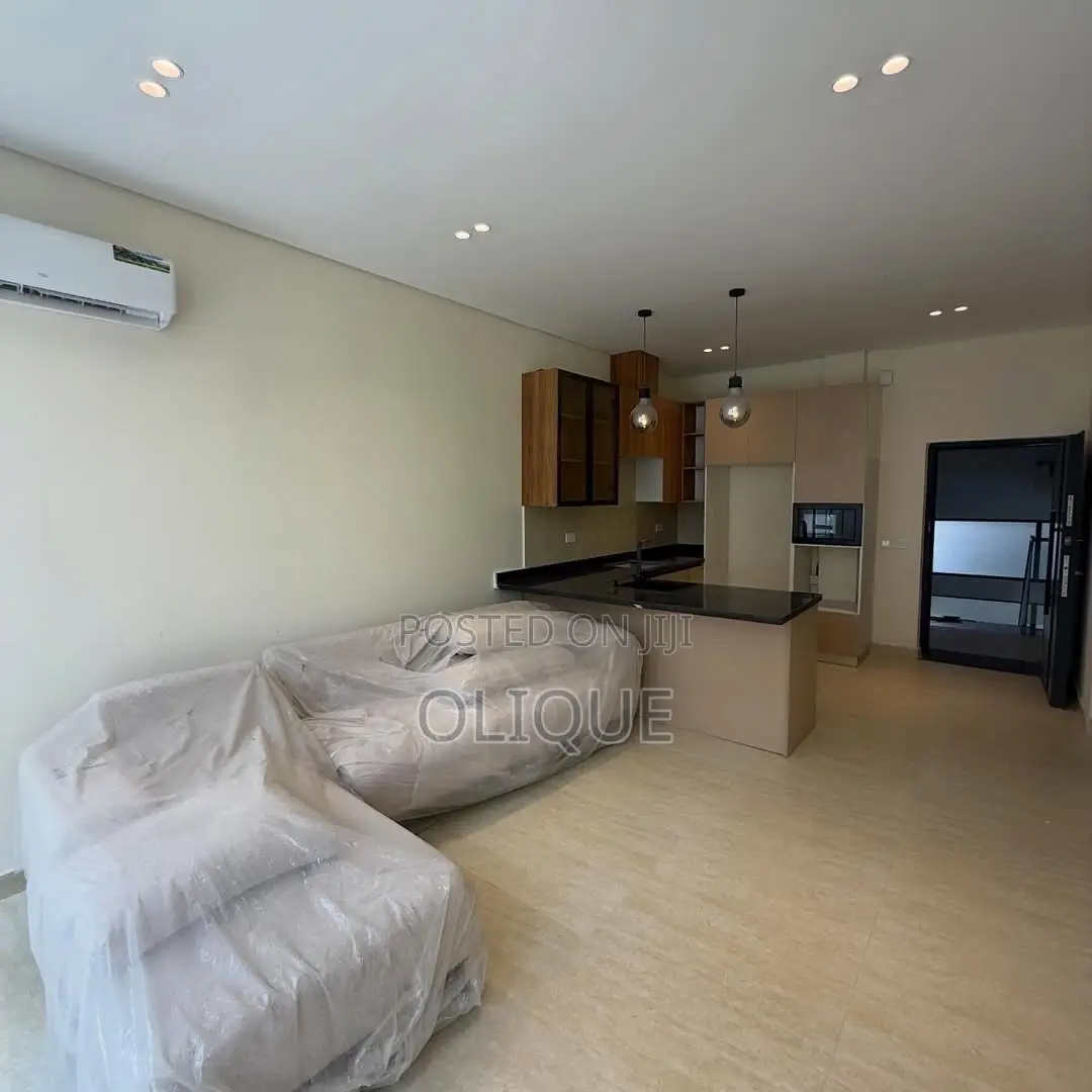 Furnished 2bdrm Block of Flats in Maitama for rent in Maitama