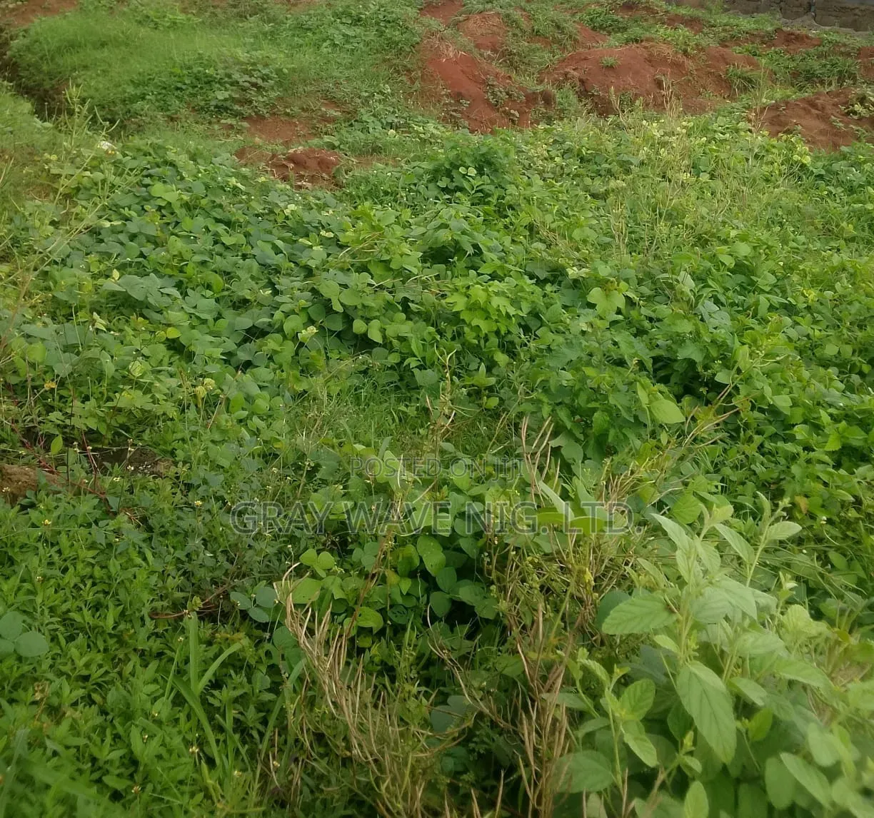 800sqm Prime Residential Land in Sabon Lugbe