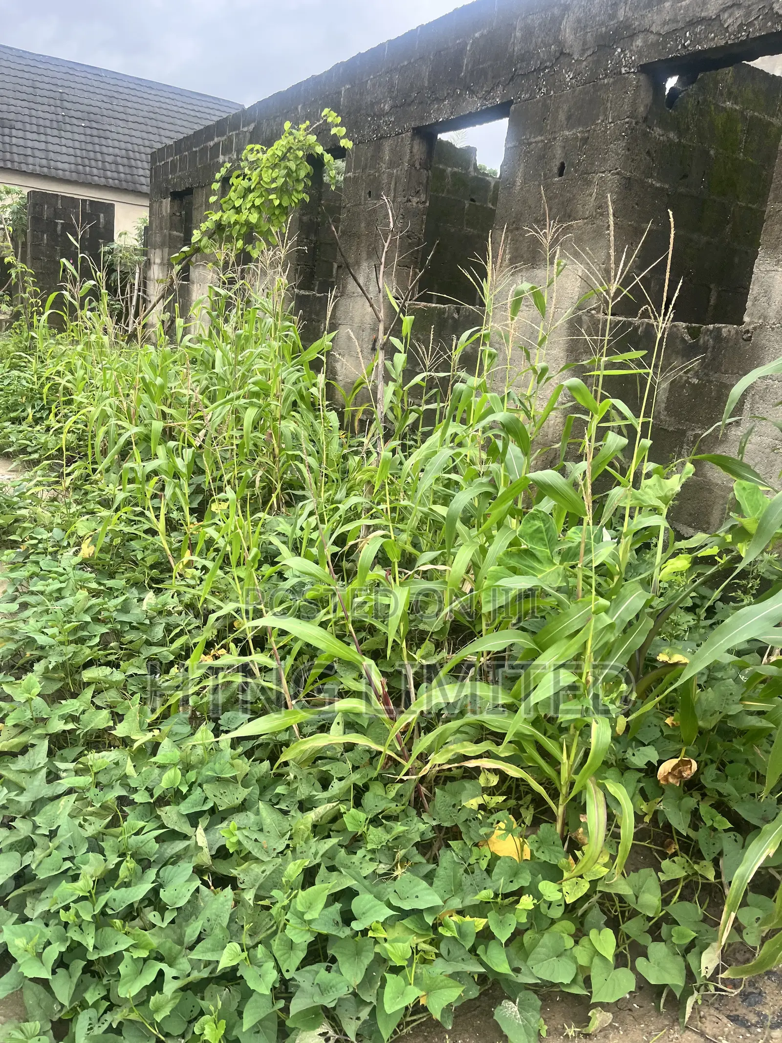 3bdrm Block of Flats in Wagbare, Igbogbo for sale in Igbogbo