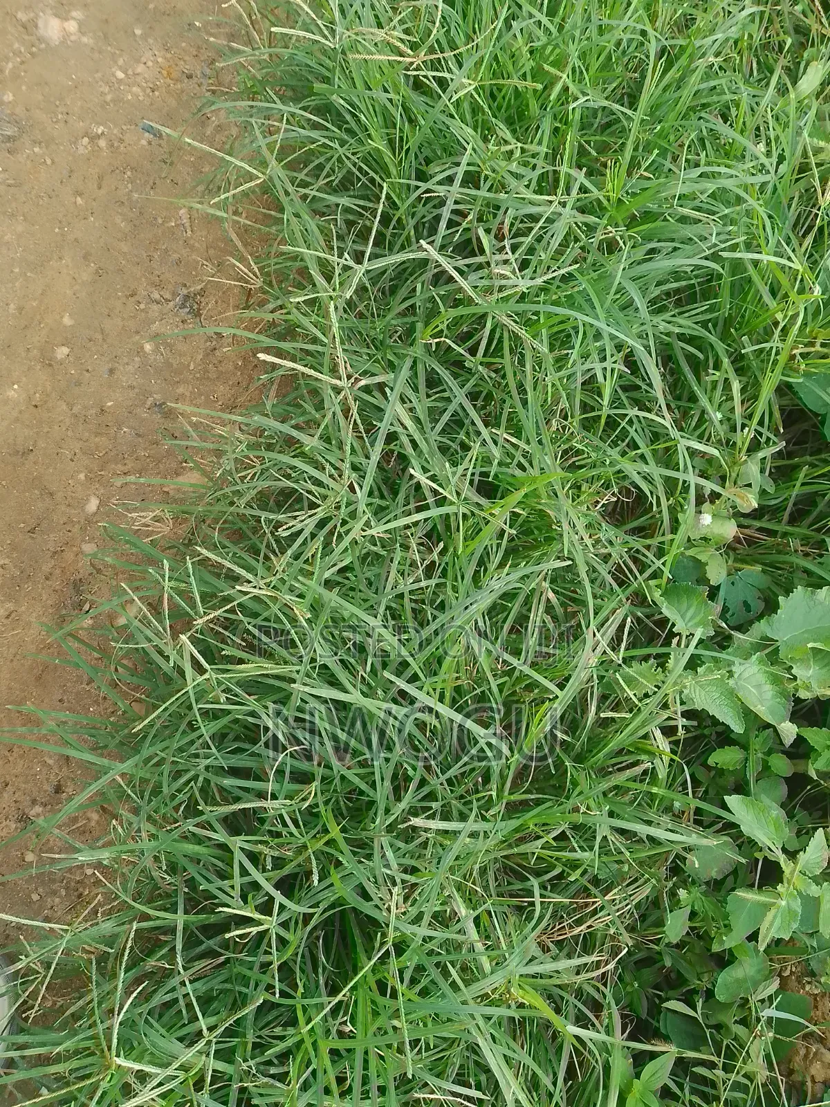 1,100 SQM of Land for Sale at Guzape 2 in Guzape District
