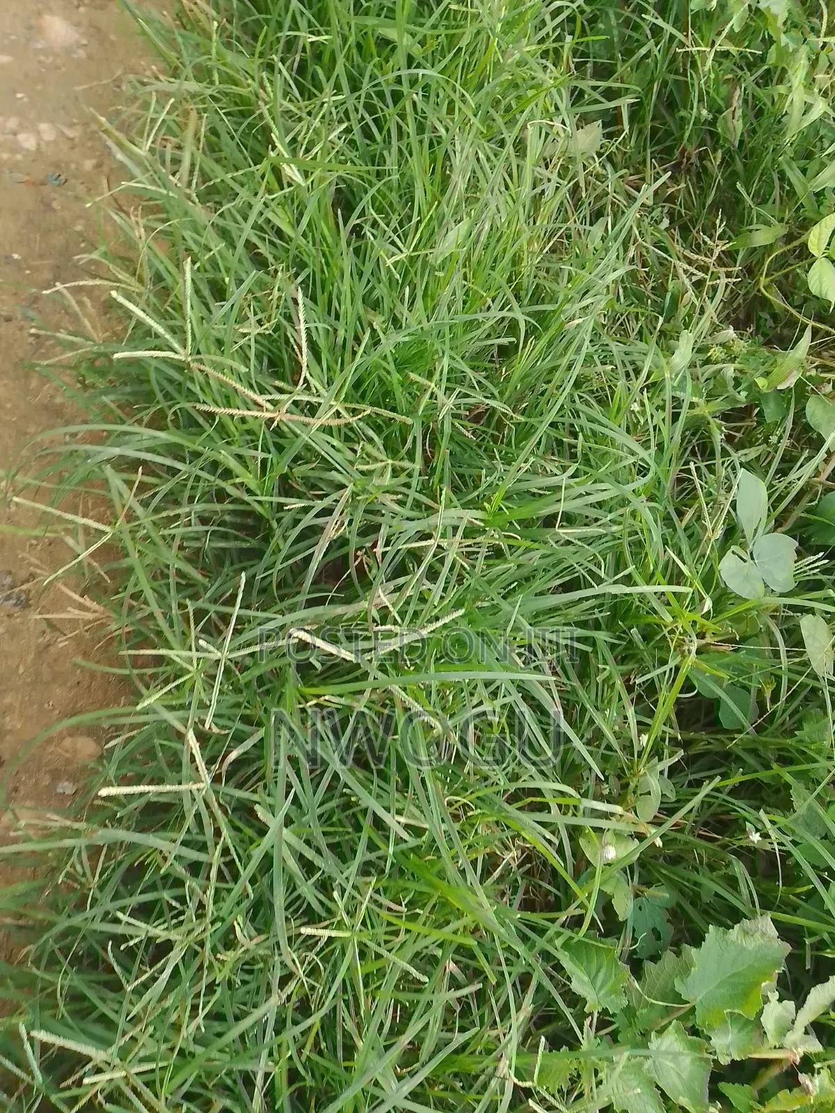 1,100 SQM of Land for Sale at Guzape 2 in Guzape District