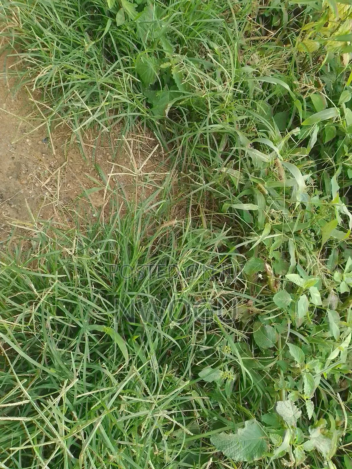 1,100 SQM of Land for Sale at Guzape 2 in Guzape District