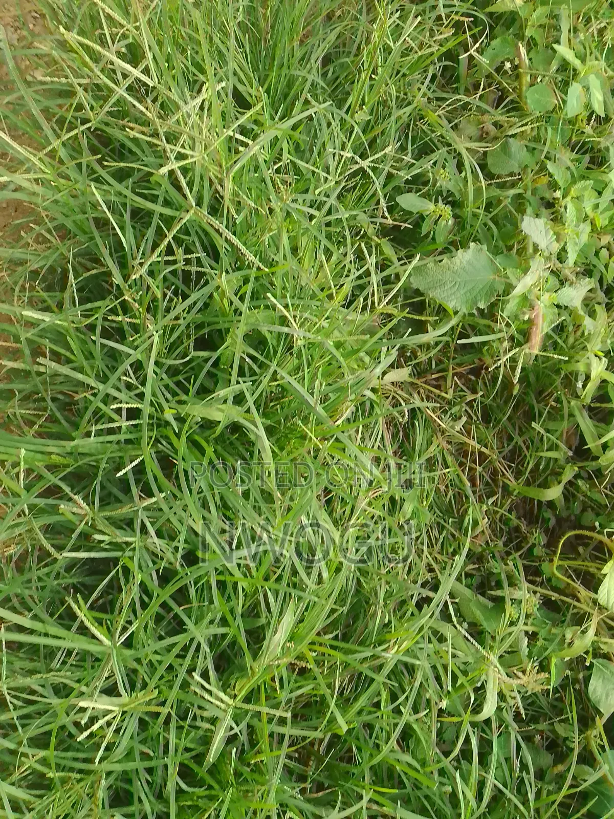 1,100 SQM of Land for Sale at Guzape 2 in Guzape District