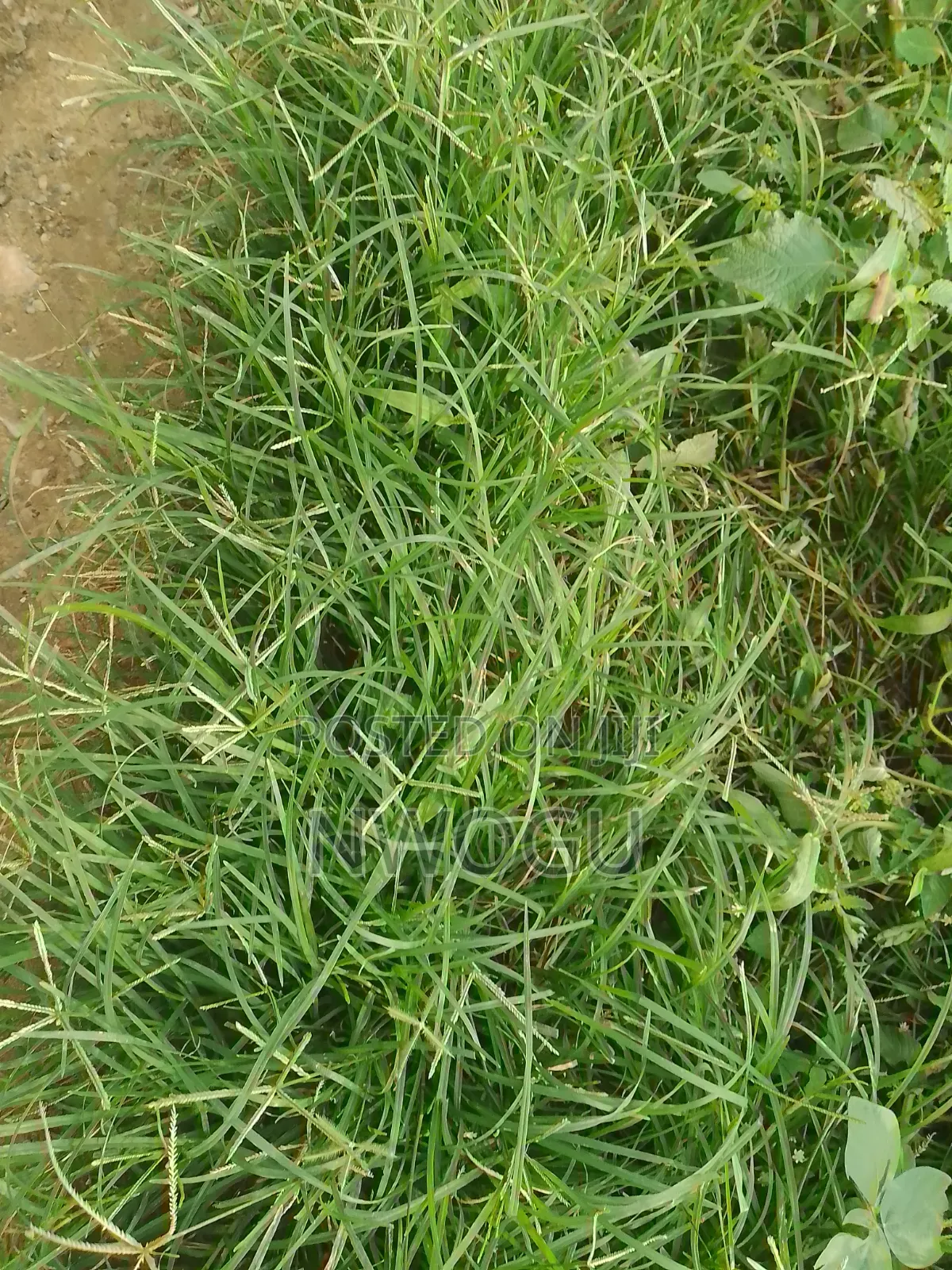1,100 SQM of Land for Sale at Guzape 2 in Guzape District