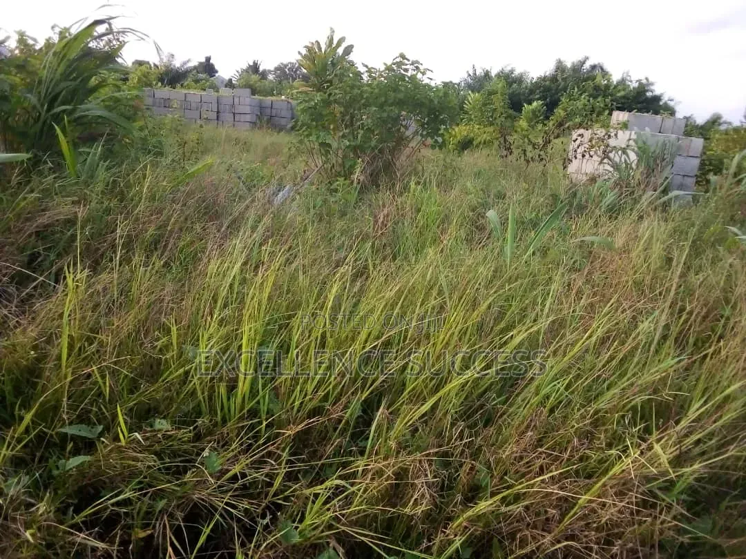 4 Plot of Bare Land in Badagry Age Momo,mowo Bus Stop in Age Mowo