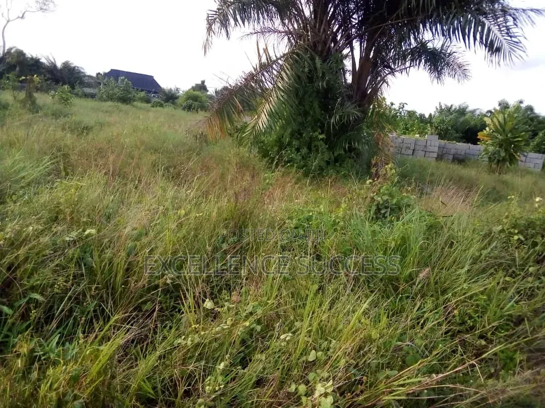 4 Plot of Bare Land in Badagry Age Momo,mowo Bus Stop in Age Mowo