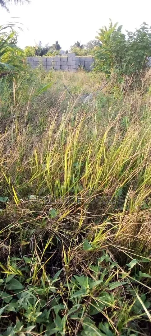 4 Plot of Bare Land in Badagry Age Momo,mowo Bus Stop in Age Mowo