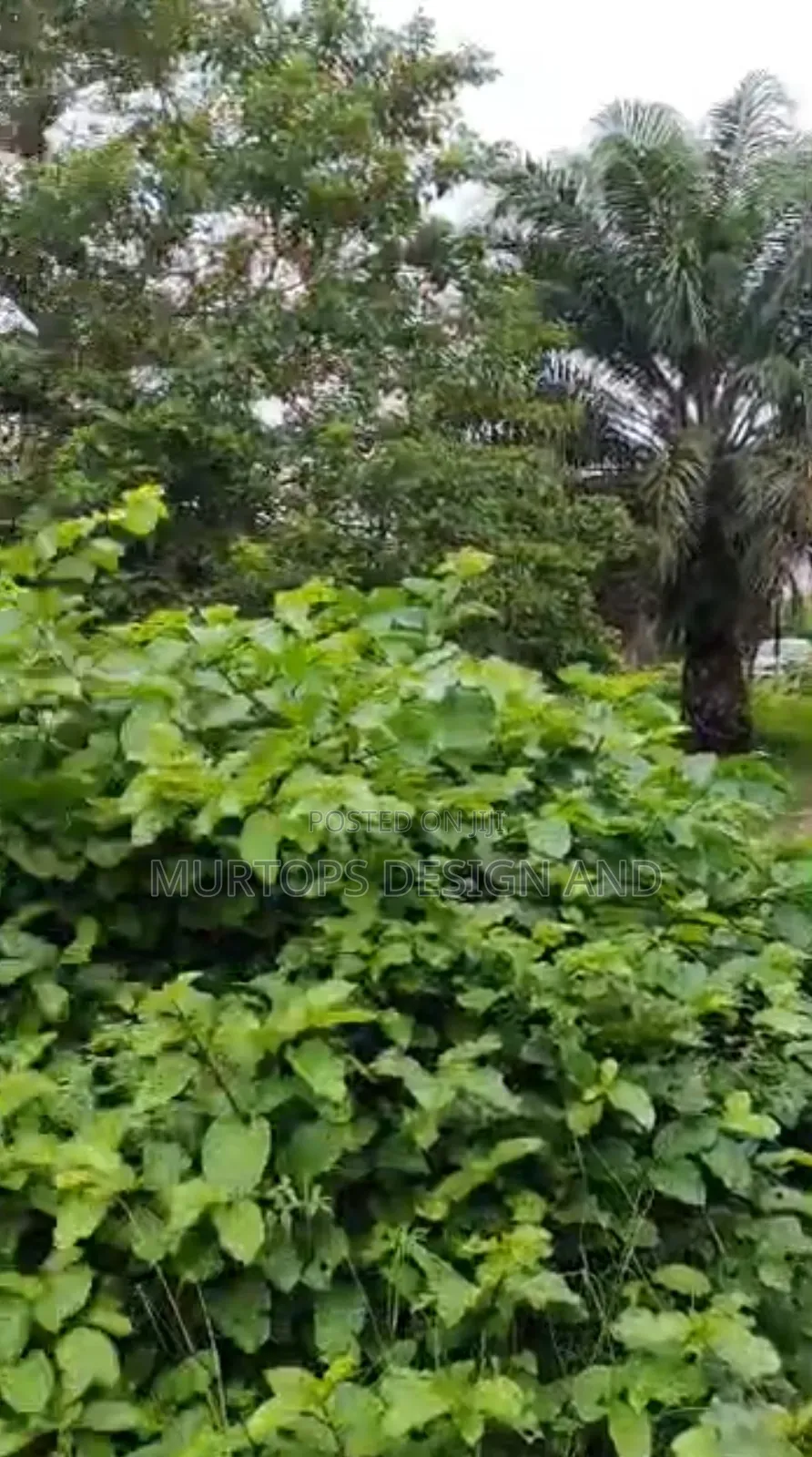 Fence and Gated Plot of Land for Sale, Off Monastery Sangotedo.* in Sangotedo